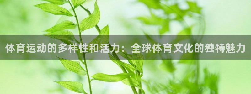 3377体育官网下载注册:体育运动的多样性和活力:全球体育文