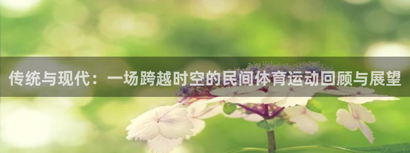 3377体育官方正版app娱乐下载:传统与现代:一场跨越时空