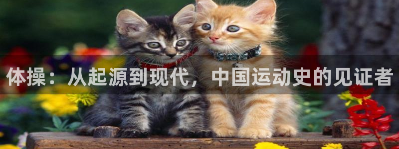 3377体育官方正版app娱乐平台:体操:从起源到现代,中国