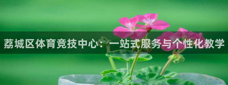 3377体育官方正版app新能源:荔城区体育竞技中心:一站式